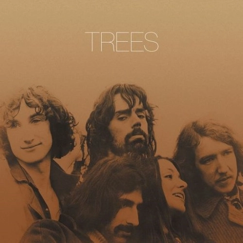 TREES (FOLK: UK) / トゥリーズ / TREES: 50TH ANNIVERSARY EDITION GOLD COLOR VINYL 4LP BOX SET