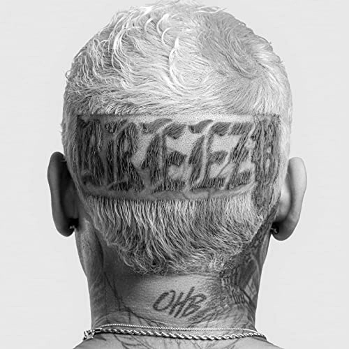 CHRIS BROWN (R&B) / クリス・ブラウン / BREEZY