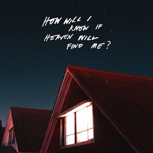 AMAZONS / アマゾンズ(UK) / HOW WILL I KNOW IF HEAVEN WILL FIND ME? [COLOUR LP]