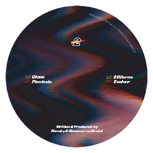 SHONKY / EVOLVER EP