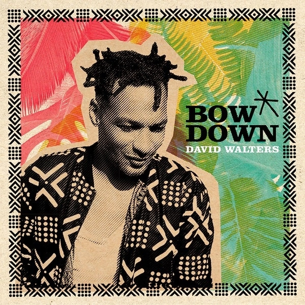 DAVID WALTERS / デヴィッド・ウォルターズ / BOW DOWN EP REMIXES