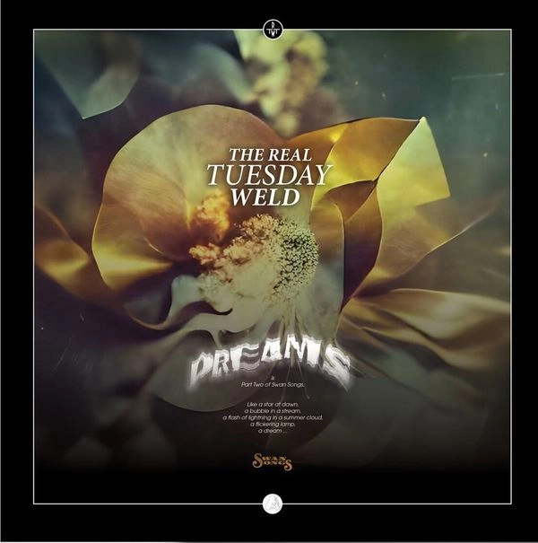 REAL TUESDAY WELD / DREAMS