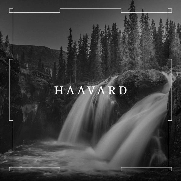 HAAVARD / HAAVARD