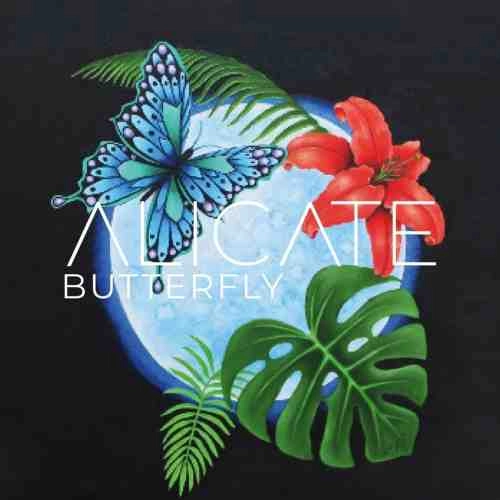 ALICATE / アリケイト / BUTTERFLY