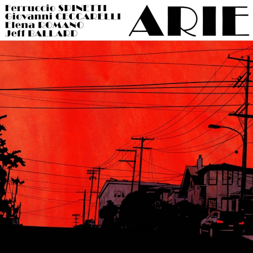 FERRUCCIO SPINETTI / フェルッシオ・スピネッティ / ARIE