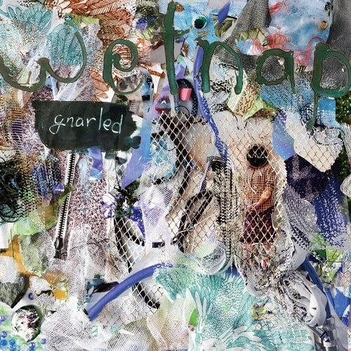 WETNAP / gnarled (LP) / gnarled（LP）
