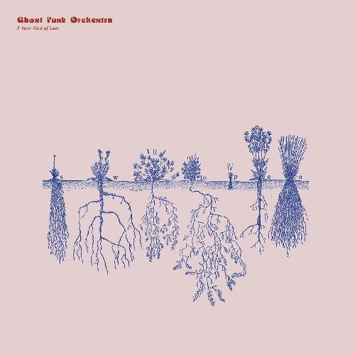 GHOST FUNK ORCHESTRA / NEW KIND OF LOVE