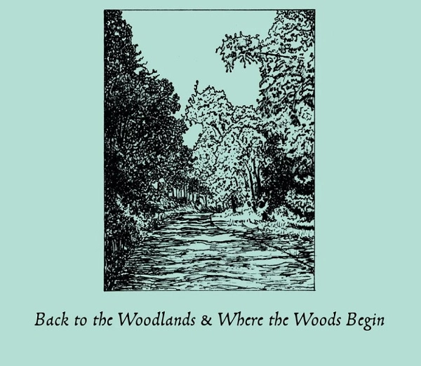 ERNEST HOOD / アーネスト・フッド / BACK TO THE WOODLANDS& WHERE THE WOODS BEGIN