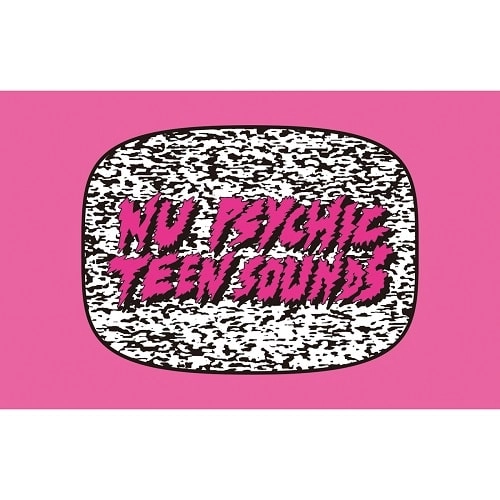 V.A. (NU PSYCHIC TEEN SOUNDS!) / NU PSYCHIC TEEN SOUNDS! (CASSETE+DLカード)