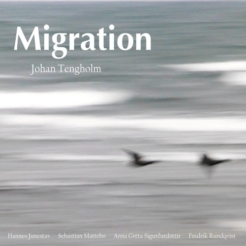 JOHAN TENGHOLM / ヨハン・テンホルム / MIGRATION