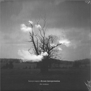 KAZUYA NAGAYA / DREAM INTERPRETATION (THE REMIXES)
