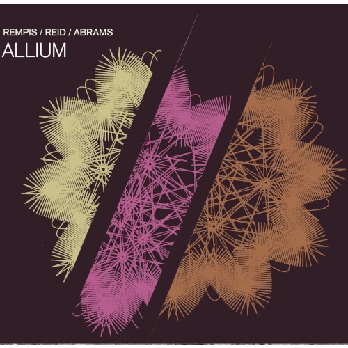 DAVE REMPIS / デイブ・レンピス / ALLIUM