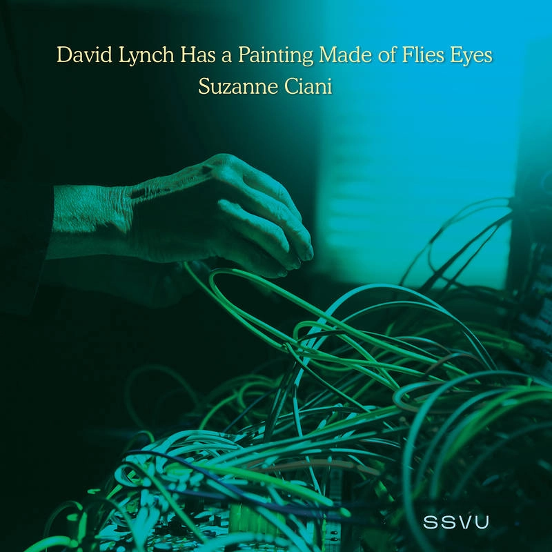SSVU (BUTCH VIG AND SILVERSUN PICKUPS) / DAVID LYNCH HAS A PAINTING MADE OF FLIES EYES / SUZANNE CIANI [7'']