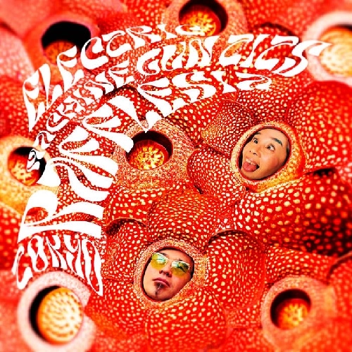 ELECTRIC MACHINE GUN TITS / TOKYO RAFFLESIA