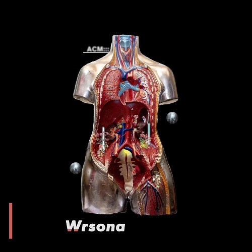 ACM::: / Wrsona
