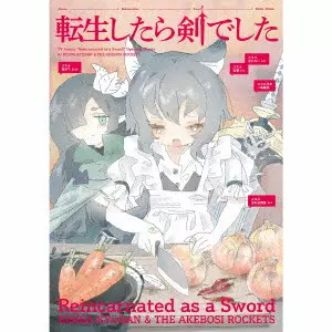 KISIDA KYODAN&THE AKEBOSI ROCKETS / 岸田教団&THE明星ロケッツ / REINCARNATED AS A SWORD / 転生したら剣でした