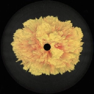 ADAM NAHALEWICZ / FORTUNE TELLER EP