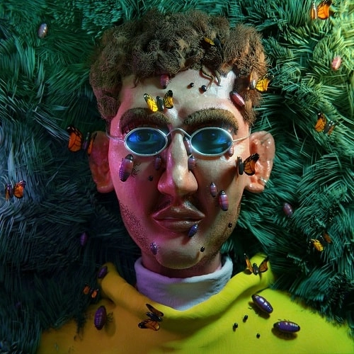 DJ PIPER / DREAM IN A DREAM (LP)