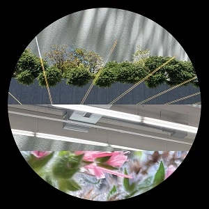 STEVE MILL / LOVE ATTACK EP