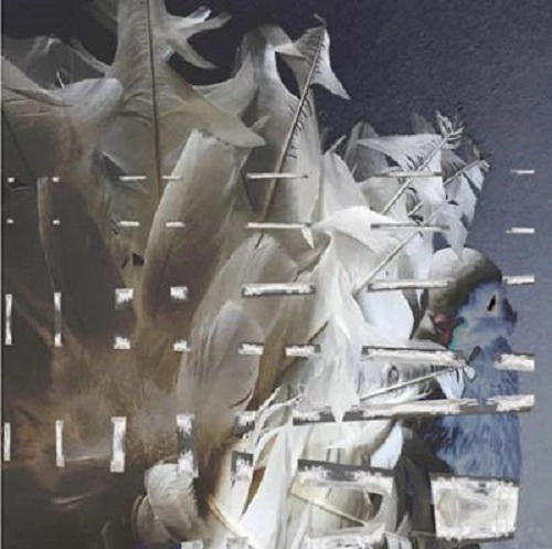 MERZBOW / メルツバウ / FANTAIL VISION（6CD BOX）