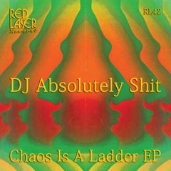DJ ABSOLUTELY SHIT / CHAOS IS A LADDER