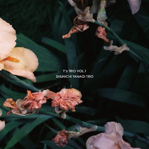 SHUNICHI YANAGI / 柳隼一 / Y'S TRIO VOL.1