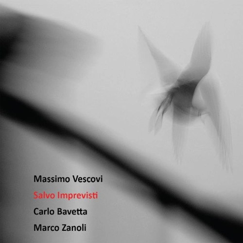 MASSIMO VESCOVI TRIO / Salvo Imprevisti