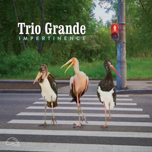 TRIO GRANDE / トリオ・グランデ / IMPERTINENCE
