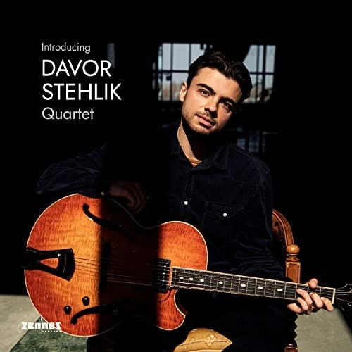 DAVOR STEHLIK / ダフォア・シュテーリック / INTRODUCING