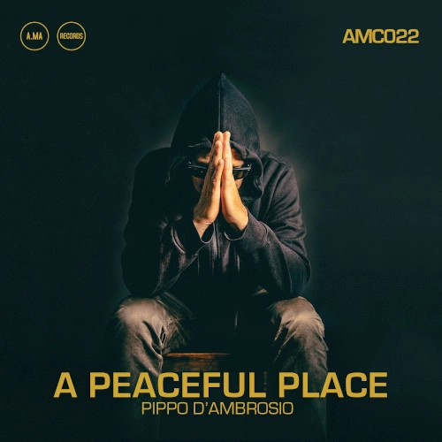 PIPPO D'AMBROSIO / ピッポ・ダンブロジオ / A PEACEFUL PLACE
