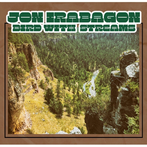JON IRABAGON / ジョン・イラバゴン / BIRD WITH STREAMS