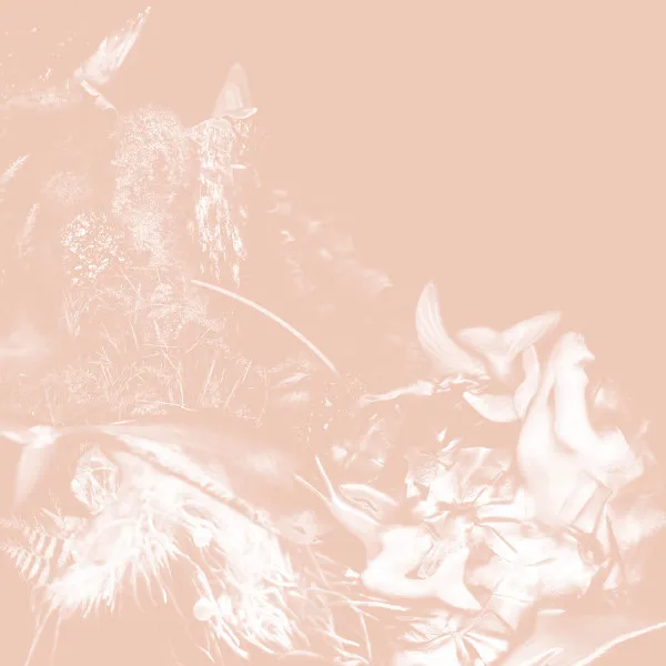 ALEXANDRA SPENCE / WAKING SHE HEARD THE FLUTTERING