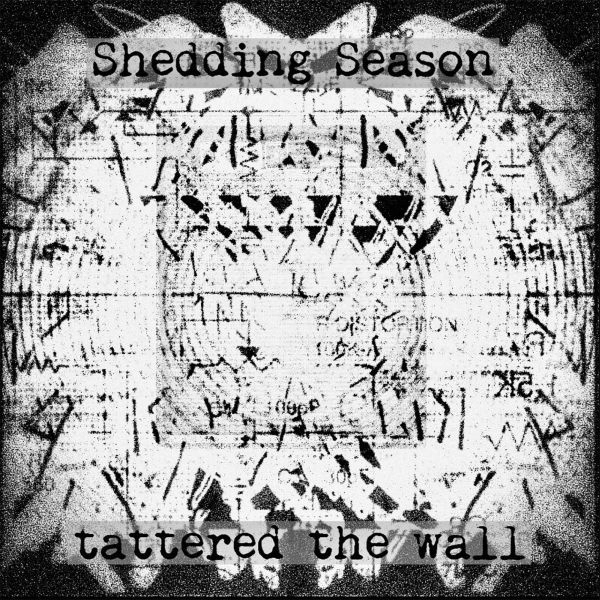 tattered the wall / タッタード・ザ・ウォール / シェディング･シーズン / Shedding Season