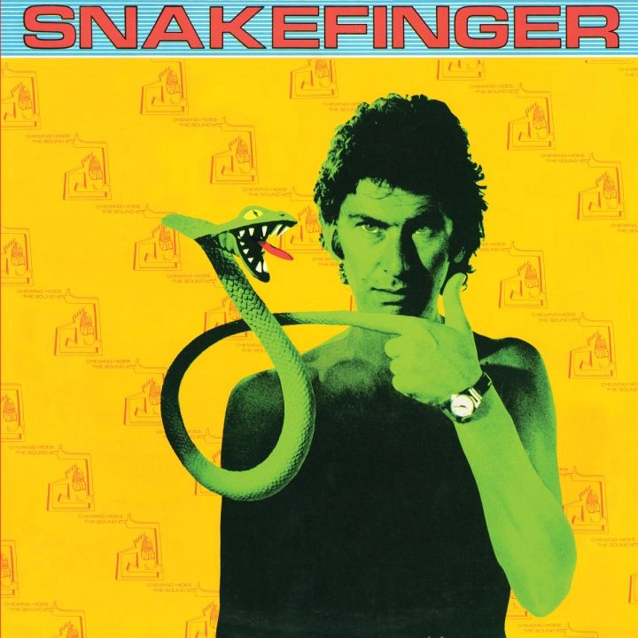 SNAKEFINGER / スネイクフィンガー / CHEWING HIDES THE SOUND (VINYL)