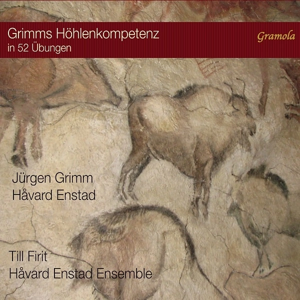 HAVARD ENSTAD ENSEMBLE / ホーヴァル・エンスタッド・アンサンブル / GRIMMS HOHLENKOMPETENZ IN 52 UBUNGEN