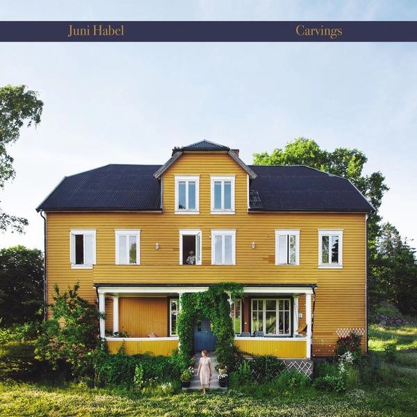 JUNI HABEL / CARVINGS (VINYL)