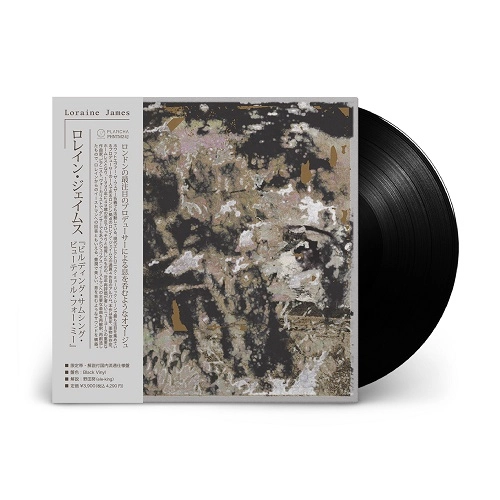 LORAINE JAMES / ロレイン・ジェームス / BUILDING SOMETHING BEAUTIFUL FOR ME（国内流通仕様盤LP）