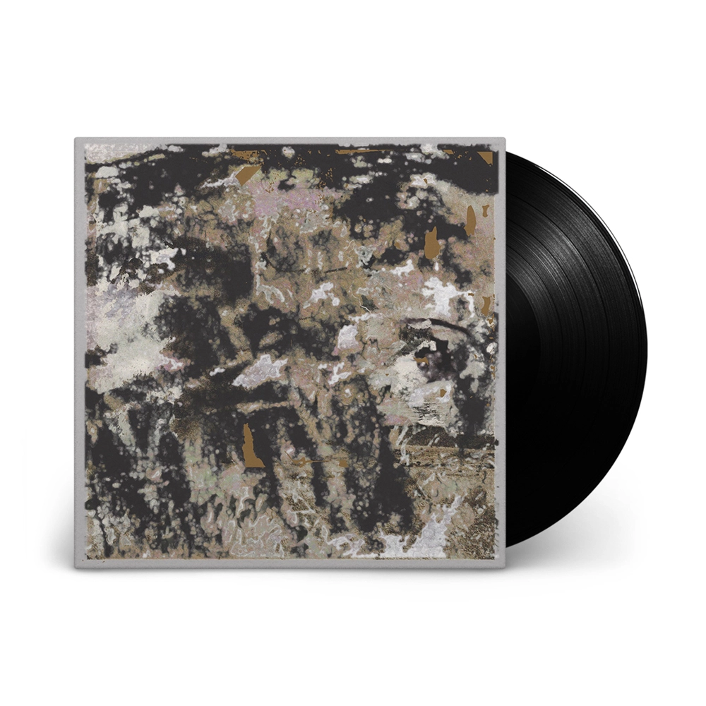 LORAINE JAMES / ロレイン・ジェームス / BUILDING SOMETHING BEAUTIFUL FOR ME (LP)