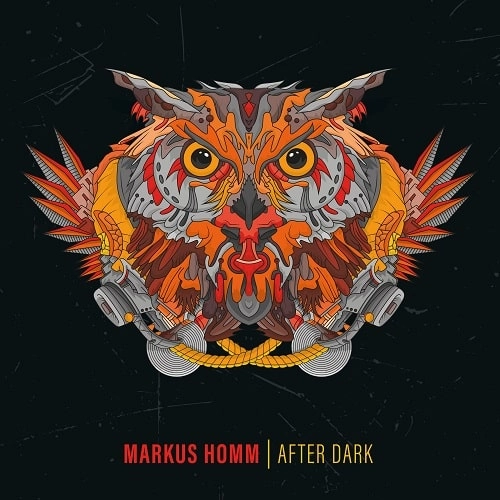 MARKUS HOMM / AFTER DARK (2LP)