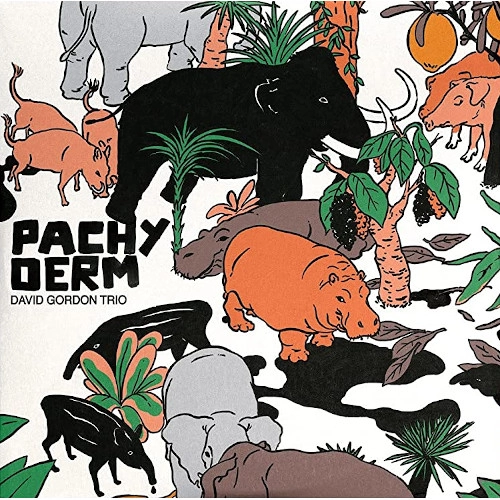 DAVID GORDON / デヴィッド・ゴードン / PACHYDERM