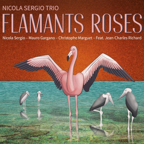 NICOLA SERGIO / ニコラ・セルジオ / FLAMANTS ROSES