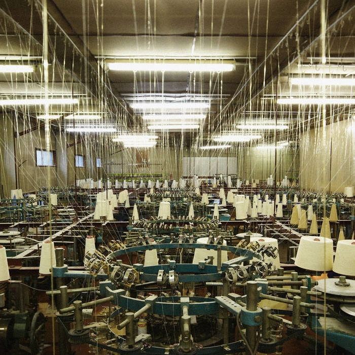toe / FOR LONG TOMORROW (LP/GREEN INSIDE BROWN COLOR-IN-COLOR VINYL)