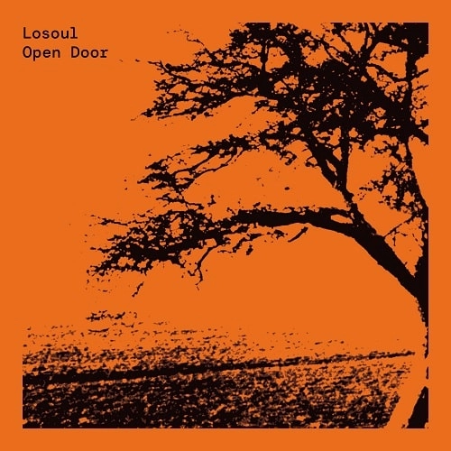 LOSOUL / ロソウル / OPEN DOOR (EXPANDED 2X12")