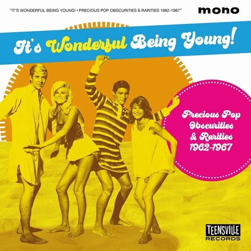 V.A. (SOFT ROCK/BUBBLEGUM) / ITS WONDERFUL BEING YOUNG (PRECIOUS POP OBSCURITIES & RARITIES 1962-1967) (CD) / ITS WONDERFUL BEING YOUNG (PRECIOUS POP OBSCURITIES & RARITIES 1962-1967)