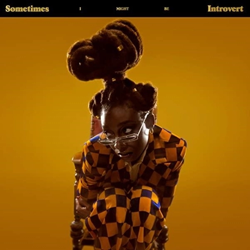 LITTLE SIMZ / リトル・シムズ / SOMETIMES I MIGHT BE INTROVERT（期間限定スペシャルプライス盤）