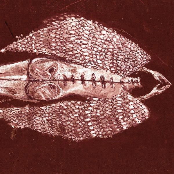 CERBERUS SHOAL / HOMB (ANNIVERSARY EDITION 2XLP - BLACK) / HOMB (ANNIVERSARY EDITION 2XLP - BLACK) 