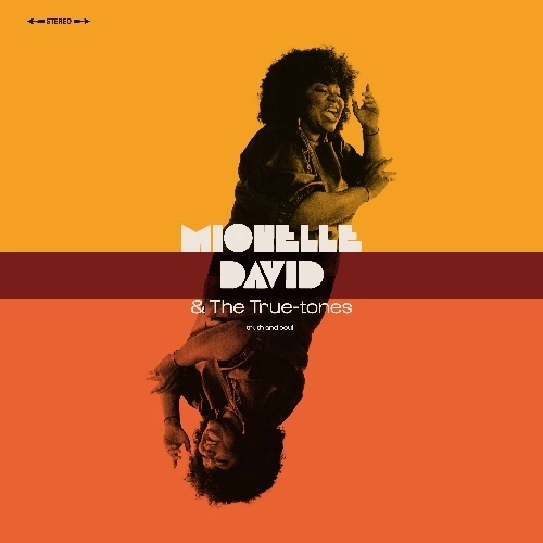 MICHELLE DAVID & THE TRUE-TONES / TRUTH & SOUL