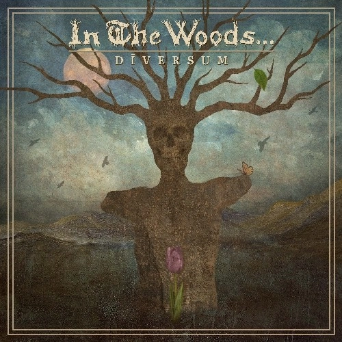 IN THE WOODS / DIVERSUM (LP)