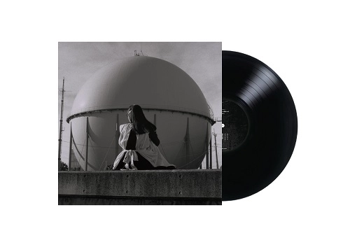 Kaneko Ayano / カネコアヤノ / タオルケットは穏やかな（LP）