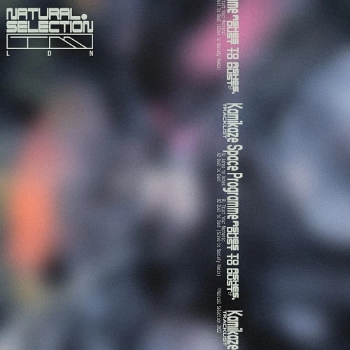 KAMIKAZE SPACE PROGRAMME / ASHES TO ASHES, DUST TO DUST